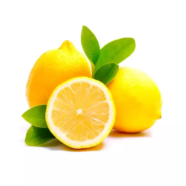 Organic Fresh Oranges From South France—1Kg